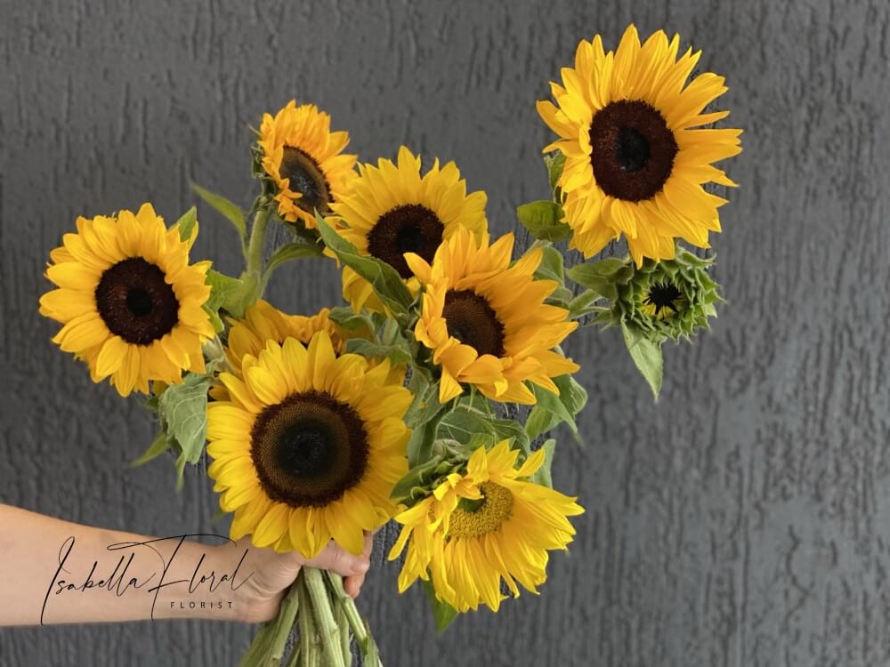 Sunflower en masse
