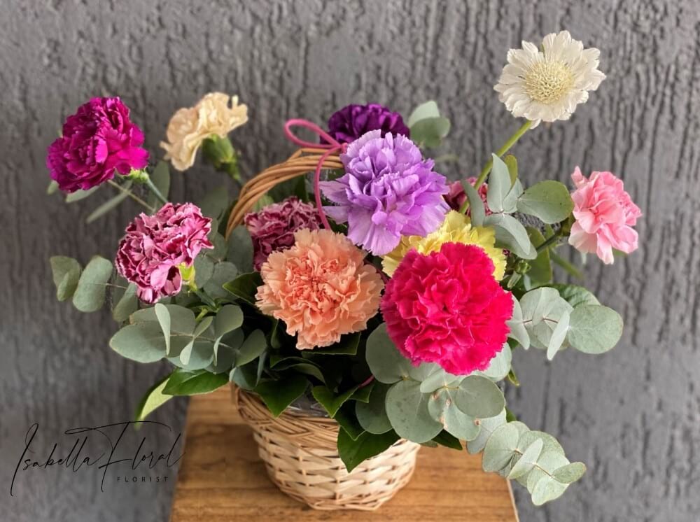 CARNATION BLOOM