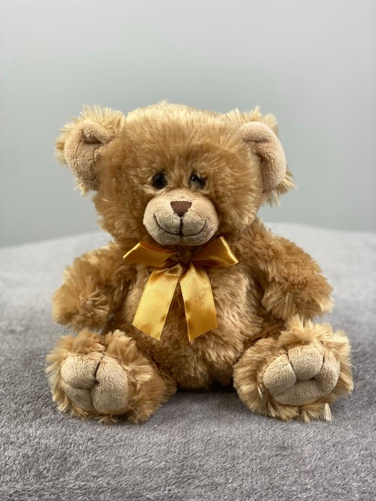 Teddy Bear Small