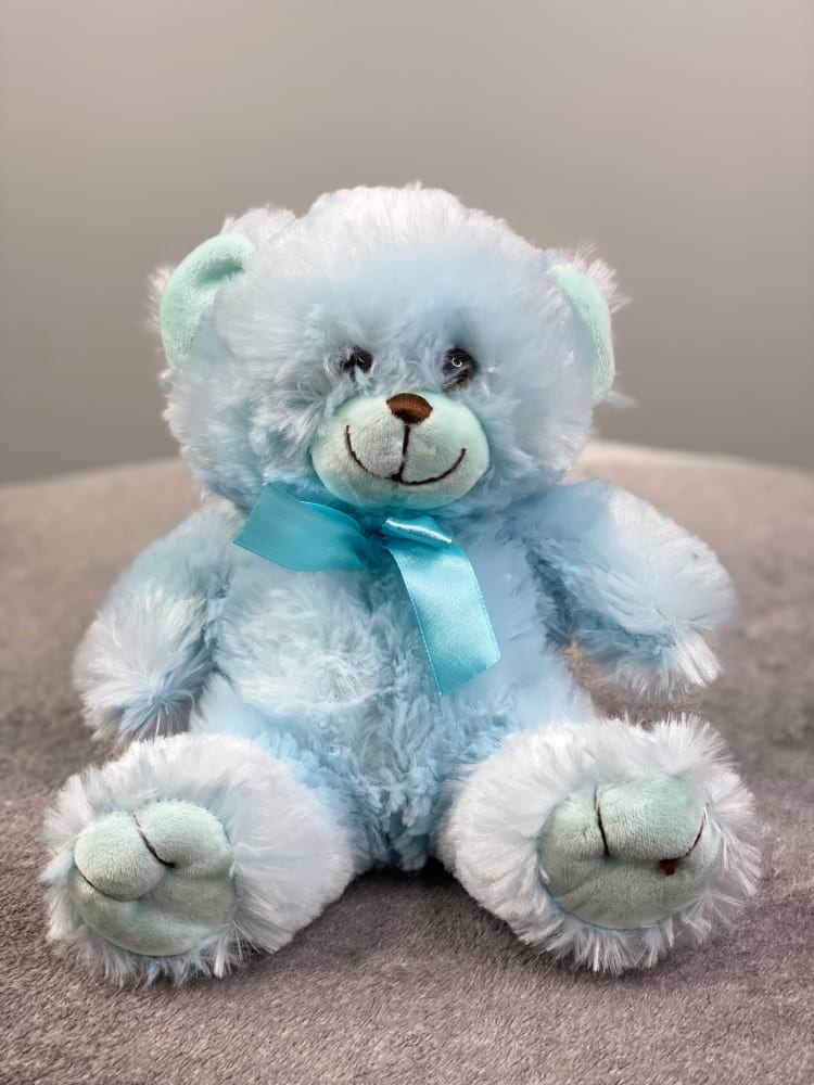 Teddy Bear Blue