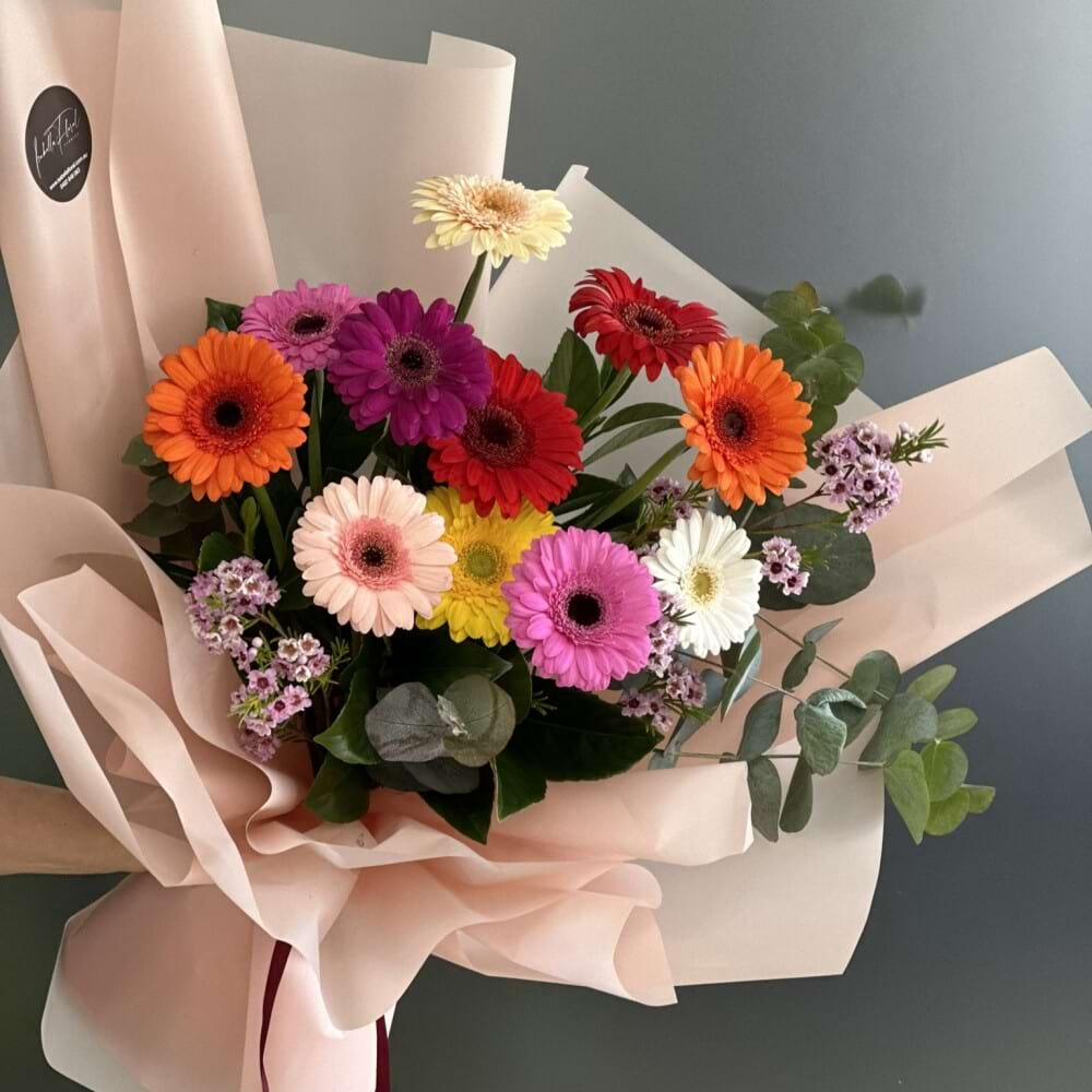Gerbera Lover