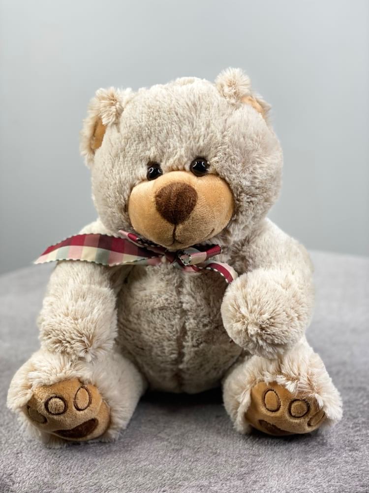 Teddy Bear Medium
