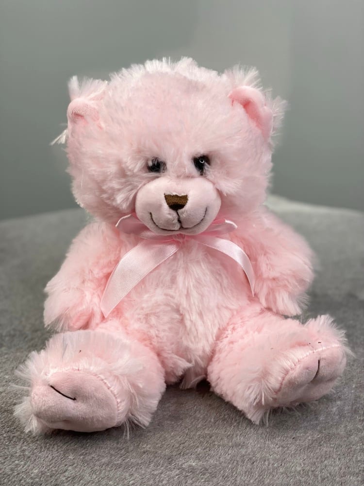 Teddy Bear Pink