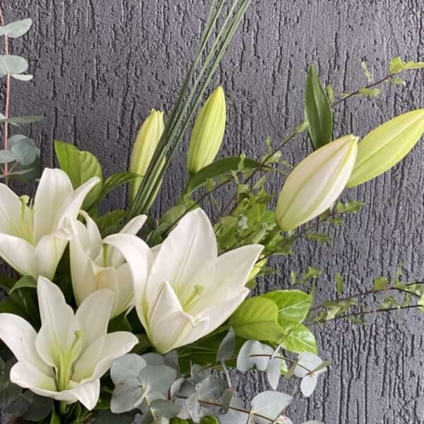 Lily en masse
