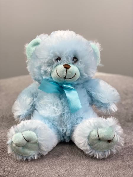 Teddy Bear Blue