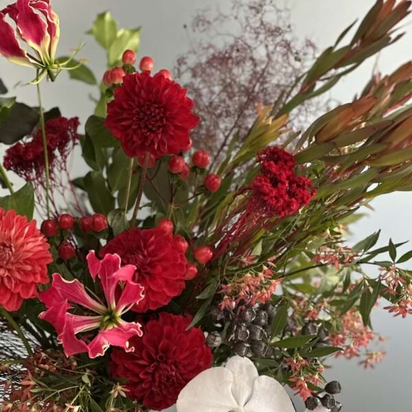 Season's Greetings - Florist's Choice