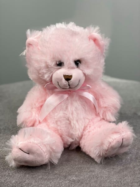 Teddy Bear Pink